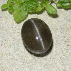 Cat's eye scapolite noir naturelle coupe ovale, 1,46 ct, translucide