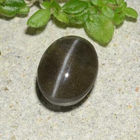 Cat's eye scapolite noir naturelle coupe ovale, 1,46 ct, translucide