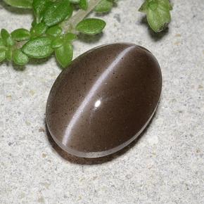 Cat's eye scapolite marron naturelle coupe ovale, 2,20 ct, translucide