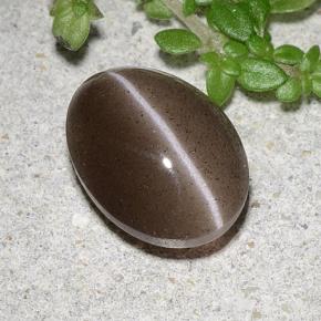 Cat's eye scapolite marron naturelle coupe ovale, 2,20 ct, translucide