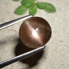 Cat's eye scapolite marron naturelle coupe roude, 1,76 ct, translucide