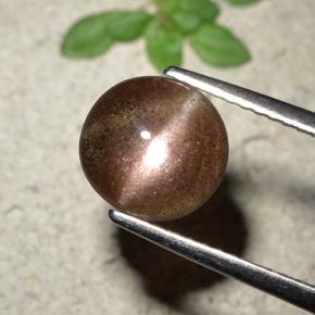 Cat's eye scapolite marron naturelle coupe roude, 1,76 ct, translucide