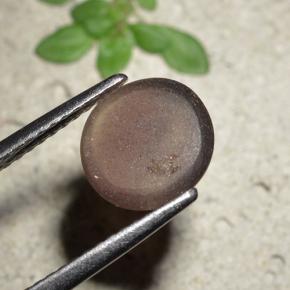 Cat's eye scapolite marron naturelle coupe roude, 1,76 ct, translucide