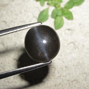 Cat's eye scapolite noir naturelle coupe roude, 3,23 ct, opaque