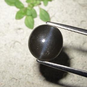 Cat's eye scapolite noir naturelle coupe roude, 3,23 ct, opaque