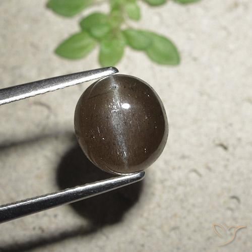 2.56ct Naturel Brun moyen Scapolite œil de chat, Tour, Translucide
