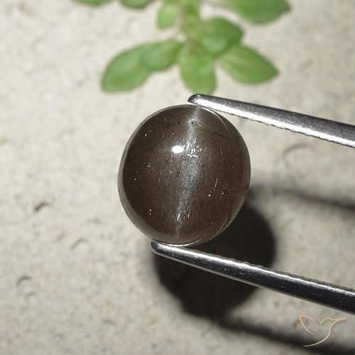 Scapolite œil de chat Brun moyen naturelle Tour, 2.56 ct, Translucide