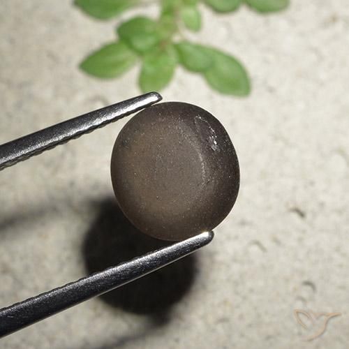 Scapolite œil de chat Brun moyen naturelle Tour, 2.56 ct, Translucide