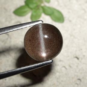 Cat's eye scapolite marron naturelle coupe roude, 1,80 ct, translucide