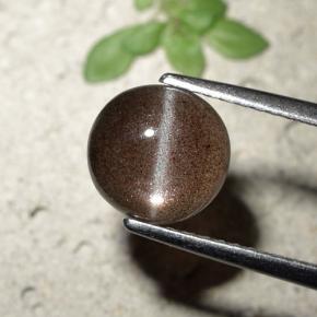 Cat's eye scapolite marron naturelle coupe roude, 1,80 ct, translucide