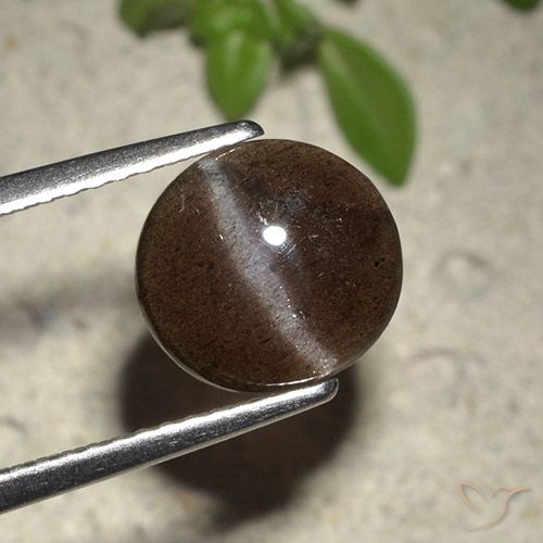 Scapolite œil de chat Brun chocolat naturelle Coupe roude, 2.01 ct, Translucide