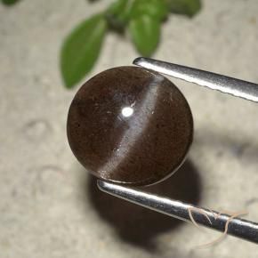 Scapolite œil de chat Brun chocolat naturelle Coupe roude, 2.01 ct, Translucide