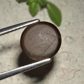 Scapolite œil de chat Brun chocolat naturelle Coupe roude, 2.01 ct, Translucide