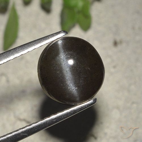 Cat's eye scapolite noir naturelle coupe roude, 2,72 ct, translucide