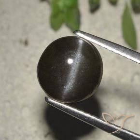 Cat's eye scapolite noir naturelle coupe roude, 2,72 ct, translucide
