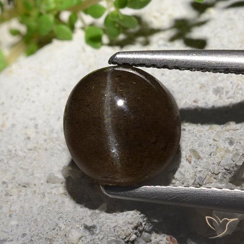 3.08ct Naturel Brun moyen Scapolite œil de chat, Tour, Translucide