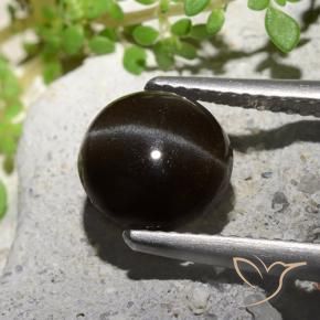 Scapolite œil de chat Noire naturelle Tour, 2.55 ct, Translucide