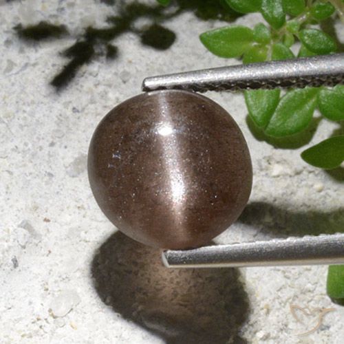 2.76ct Naturel Brun Scapolite œil de chat, Tour, Translucide