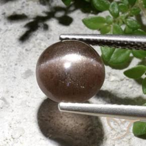 Scapolite œil de chat Brun naturelle Tour, 2.76 ct, Translucide