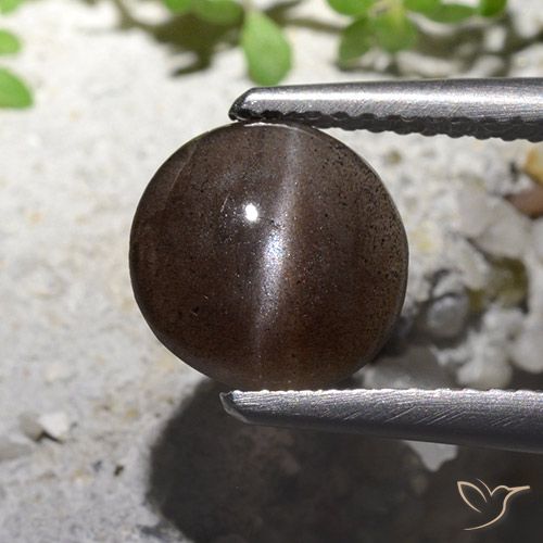 1.82ct Naturel Marron ambré Scapolite œil de chat, Tour, Translucide
