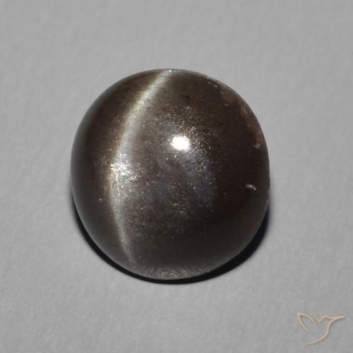 Scapolite œil de chat Noir chaud naturelle Tour, 2.28 ct, Translucide