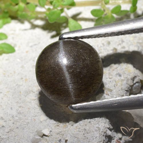2.16ct Naturel Brun moyen-léger Scapolite œil de chat, Tour, Translucide
