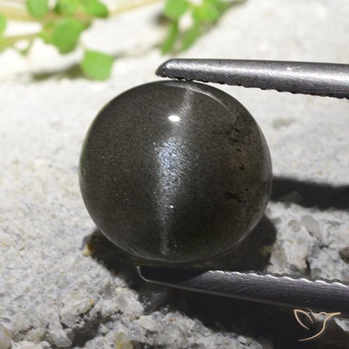 2.71ct Naturel Noire Scapolite œil de chat, Tour, Translucide