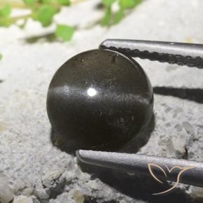 Scapolite œil de chat Noire naturelle Tour, 2.71 ct, Translucide