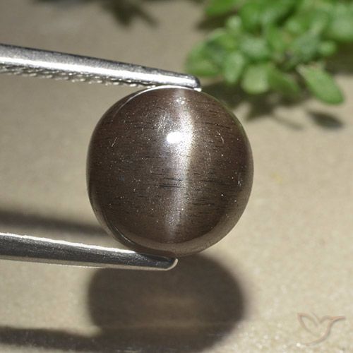 3.07ct Naturel Marron ambré Scapolite œil de chat, Tour, Translucide