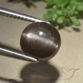 Scapolite œil de chat Marron ambré naturelle Tour, 3.07 ct, Translucide