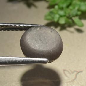Scapolite œil de chat Marron ambré naturelle Tour, 3.07 ct, Translucide