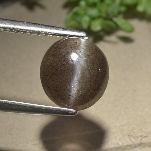2.54ct Naturel Marron ambré Scapolite œil de chat, ovale, Translucide