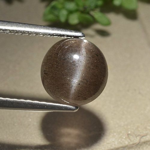 2.28ct Naturel Brun moyen Scapolite œil de chat, Tour, Translucide