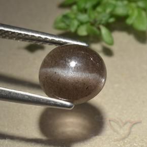 Scapolite œil de chat Brun moyen naturelle Tour, 2.28 ct, Translucide
