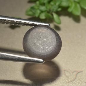 Scapolite œil de chat Brun moyen naturelle Tour, 2.28 ct, Translucide
