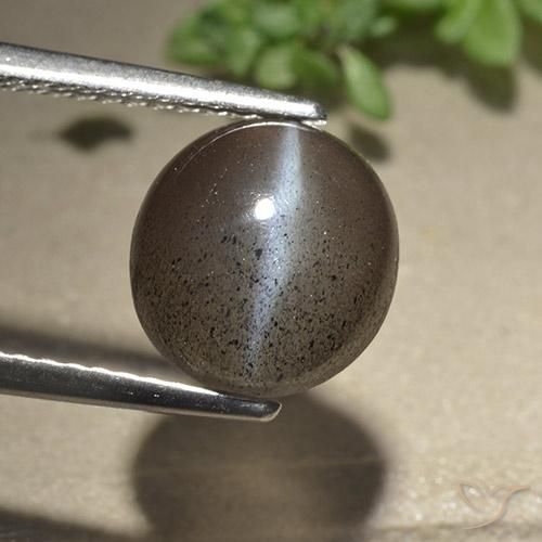 3.06ct Naturel Brun espresso Scapolite œil de chat, Tour, Translucide