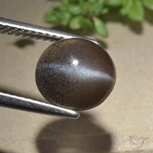 Scapolite œil de chat Brun espresso naturelle Tour, 3.06 ct, Translucide