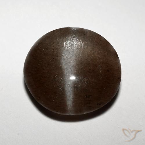 3.10ct Naturel Brun chocolat Scapolite œil de chat, Tour, Translucide