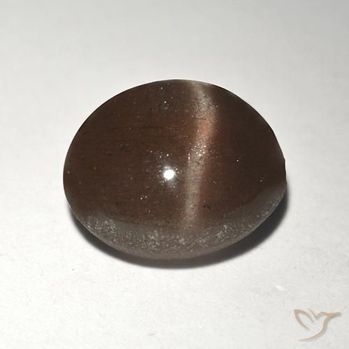 Scapolite œil de chat Brun cannelle naturelle Tour, 2.92 ct, Translucide