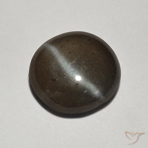 Scapolite œil de chat Noire naturelle Coupe roude, 1.78 ct, Translucide