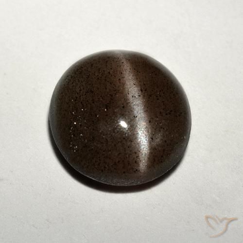 Cat's eye scapolite marron naturelle coupe roude, 1,50 ct, translucide