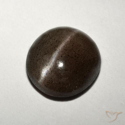 Cat's eye scapolite marron naturelle coupe roude, 1,50 ct, translucide