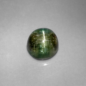 Cat's eye tourmaline vert naturelle coupe roude, 1,20 ct, opaque