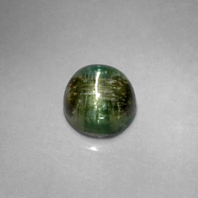 Cat's eye tourmaline vert naturelle coupe roude, 1,20 ct, opaque