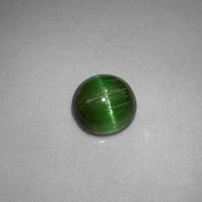 Cat's eye tourmaline vert naturelle coupe roude, 0,85 ct, opaque