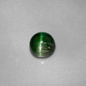 Cat's eye tourmaline vert naturelle coupe roude, 0,67 ct, opaque