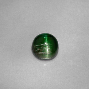 Cat's eye tourmaline vert naturelle coupe roude, 0,67 ct, opaque