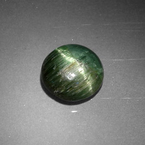 Cat's eye tourmaline vert naturelle coupe roude, 0,87 ct, opaque
