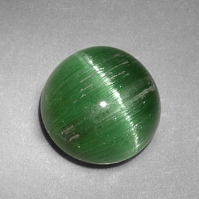 Cat's eye tourmaline vert naturelle coupe roude, 2,47 ct, translucide