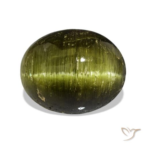 Tourmaline œil de chat Vert moyen naturelle Coupe ovale, 13.44 ct, Opaque